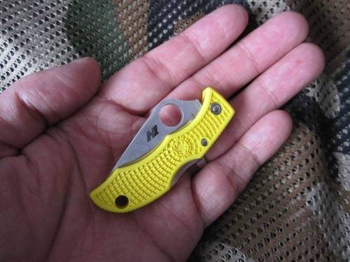 147 Spyderco Ladybug 3 Salt - LYLS3HB фото 9