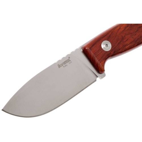 236 Lion Steel Нож с фиксированным клинком LionSteel M2 ST фото 7